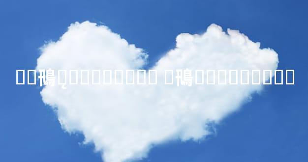 ��鳵ƽ̨�۸���ϸ�� �鳵�����⳵�۸�